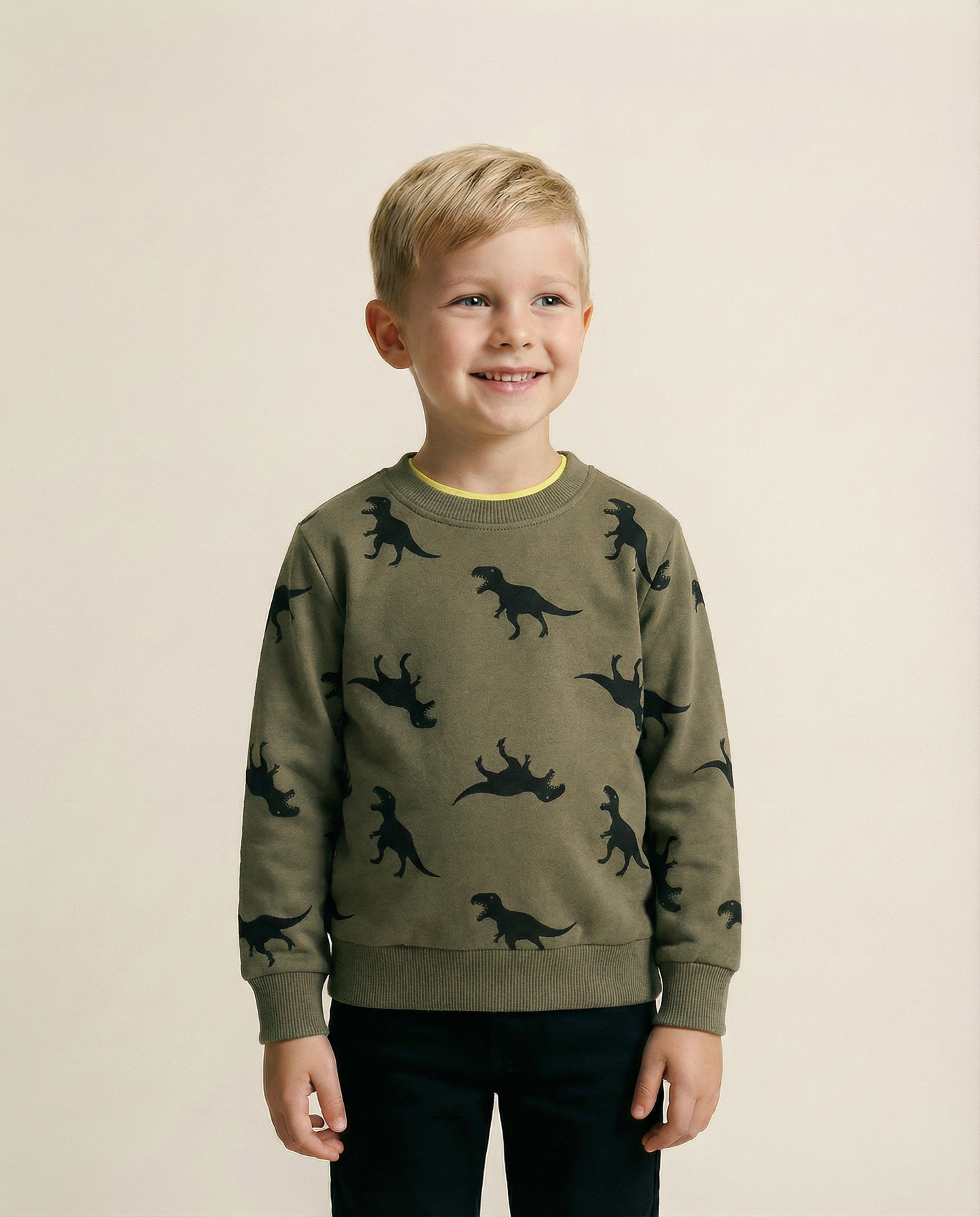 Dinosaur cartoon sweater